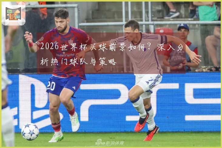 2026世界杯买球前景如何？深入分析热门球队与策略