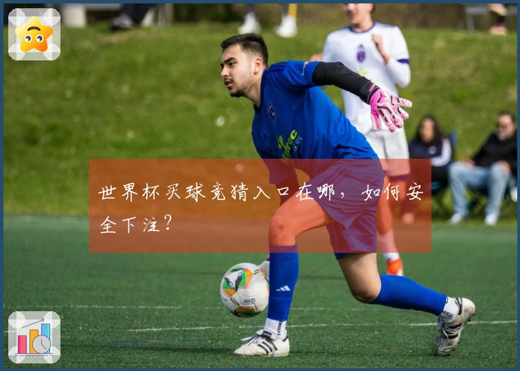 世界杯买球竞猜入口在哪,如何安全下注?